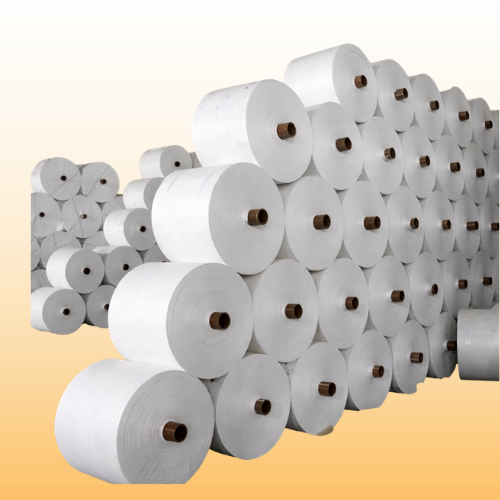 PP Roll supplier in Uttarakhand